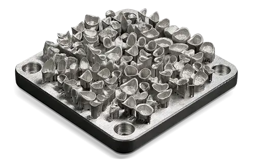 LaserForm CoCr (B) e (C)