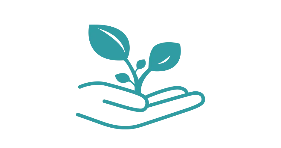 Uma imagem de uma mão segurando uma pequena árvore