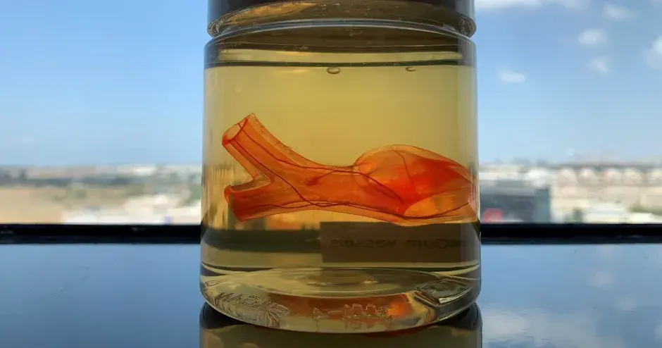 3D Bioprinted Trachea